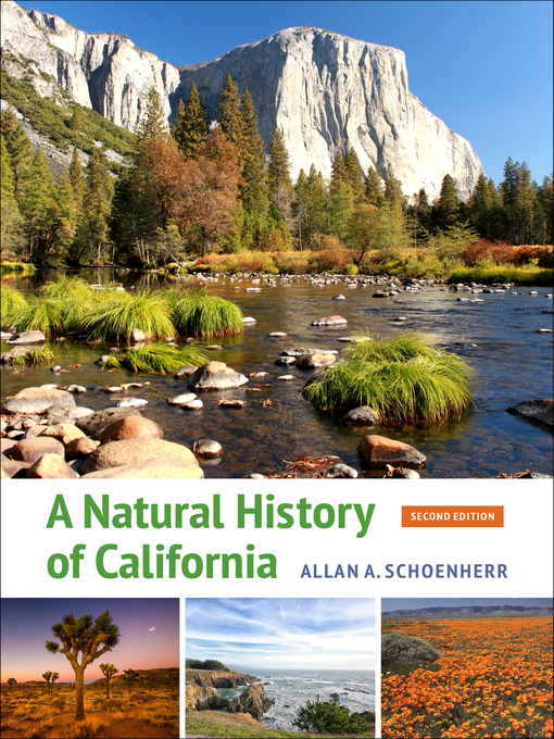 Title details for A Natural History of California by Allan A. Schoenherr - Wait list